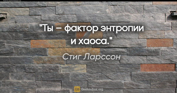 Стиг Ларссон цитата: "Ты – фактор энтропии и хаоса."