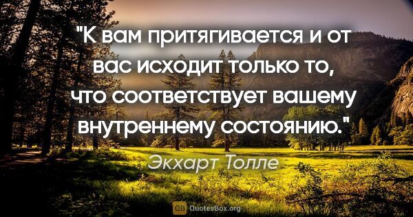 Экхарт Толле цитата: "К вам притягивается и от вас исходит только то, что..."