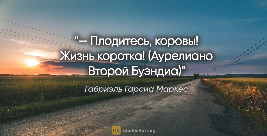 Габриэль Гарсиа Маркес цитата: "— Плодитесь, коровы! Жизнь коротка!

(Аурелиано Второй Буэндиа)"