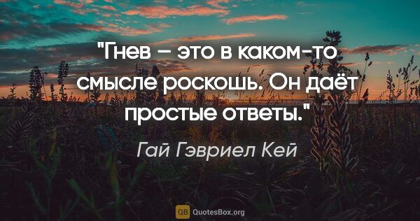 Гай Гэвриел Кей цитата: "Гнев – это в каком-то смысле роскошь. Он даёт простые ответы."