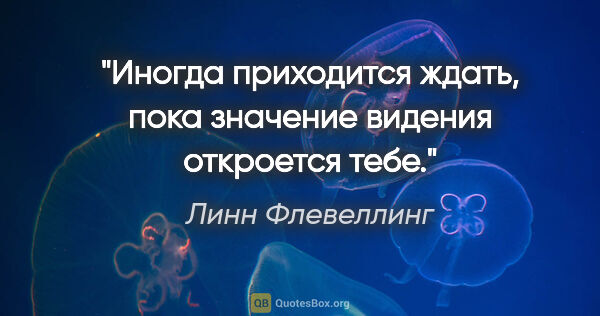 Линн Флевеллинг цитата: "Иногда приходится ждать, пока значение видения откроется тебе."