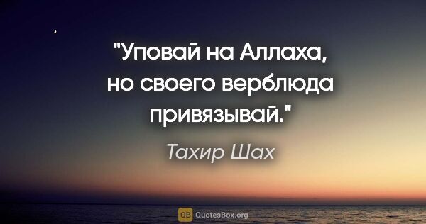 Тахир Шах цитата: "Уповай на Аллаха, но своего верблюда привязывай."