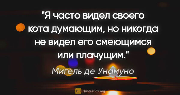 Мигель де Унамуно цитата: "Я часто видел своего кота думающим, но никогда не видел его..."