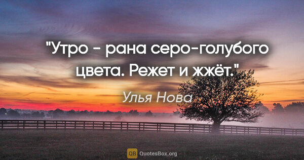 Улья Нова цитата: "Утро - рана серо-голубого цвета. Режет и жжёт."