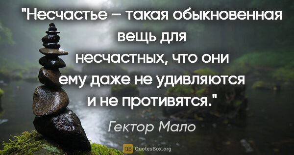 Гектор Мало цитата: "Несчастье – такая обыкновенная вещь для несчастных, что они..."