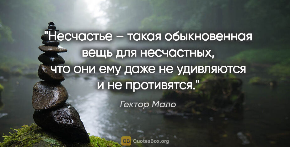 Гектор Мало цитата: "Несчастье – такая обыкновенная вещь для несчастных, что они..."