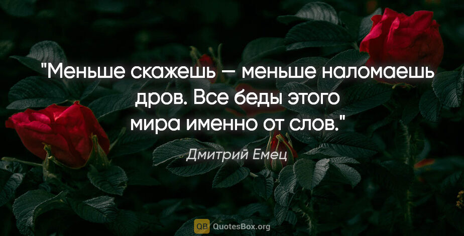 Дмитрий Емец цитата: "Меньше скажешь — меньше наломаешь дров. Все беды этого мира..."