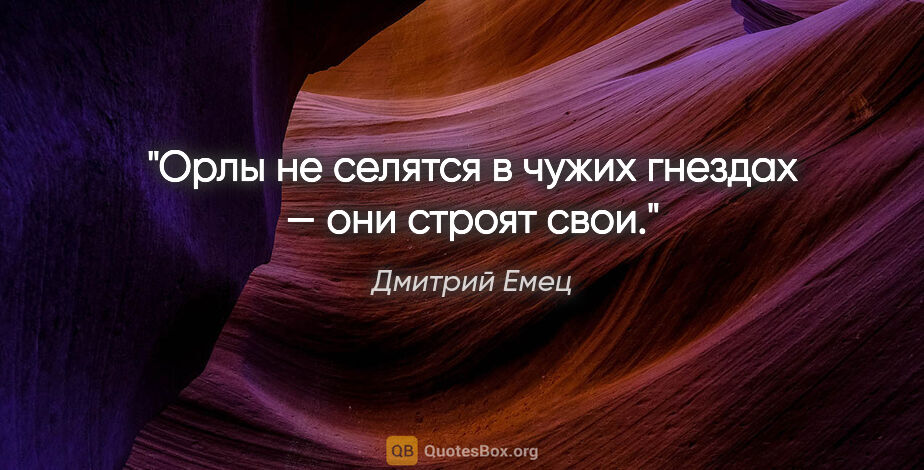 Дмитрий Емец цитата: "Орлы не селятся в чужих гнездах — они строят свои."