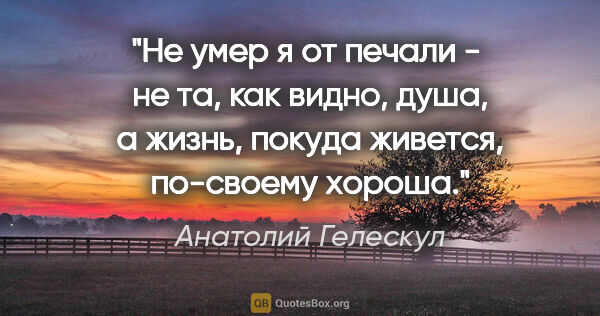 Анатолий Гелескул цитата: "Не умер я от печали - 

не та, как видно, душа,

а жизнь,..."