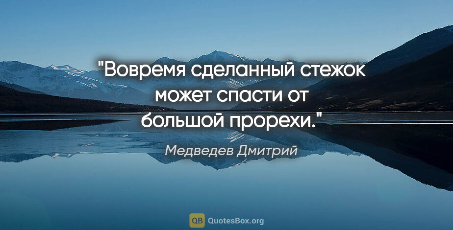 Медведев Дмитрий цитата: "Вовремя сделанный стежок может спасти от большой прорехи."