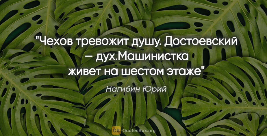 Нагибин Юрий цитата: "Чехов тревожит душу.

Достоевский — дух."Машинистка живет на..."