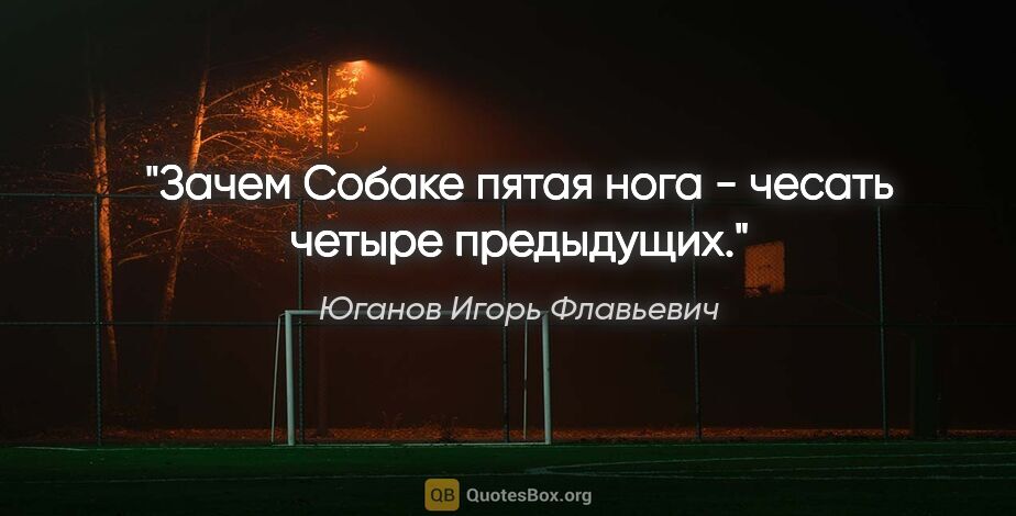 Юганов Игорь Флавьевич цитата: "Зачем

Собаке пятая нога - чесать четыре предыдущих."