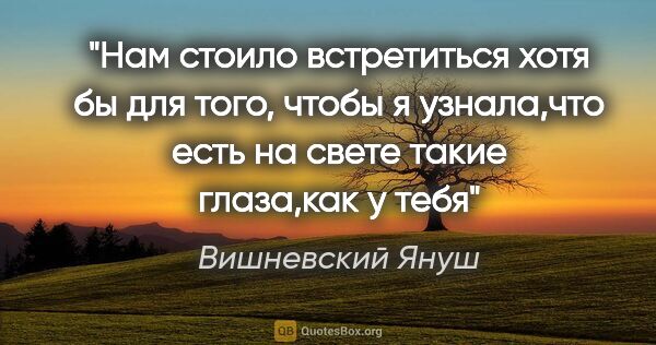 Вишневский Януш цитата: ""Нам стоило встретиться хотя бы для того, чтобы я узнала,что..."