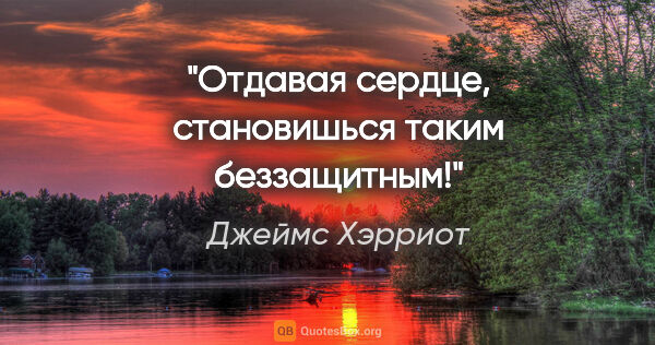 Джеймс Хэрриот цитата: "Отдавая сердце, становишься таким беззащитным!"