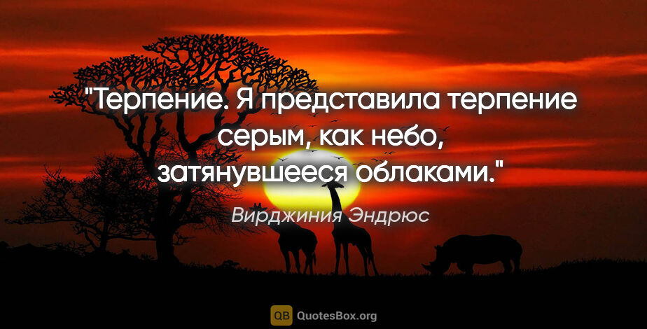 Вирджиния Эндрюс цитата: "Терпение. Я представила терпение серым, как небо, затянувшееся..."