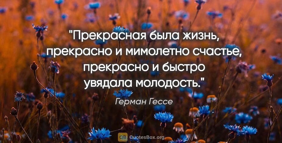 Герман Гессе цитата: "Прекрасная была жизнь, прекрасно и мимолетно счастье,..."