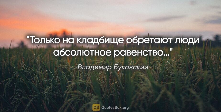 Владимир Буковский цитата: "Только на кладбище обретают люди абсолютное равенство..."