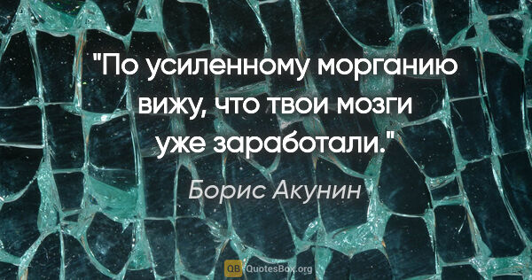 Борис Акунин цитата: "По усиленному морганию вижу, что твои мозги уже заработали."