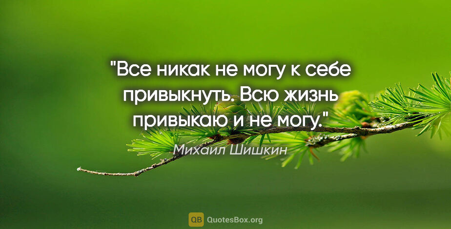 Михаил Шишкин цитата: "Все никак не могу к себе привыкнуть. Всю жизнь привыкаю и не..."