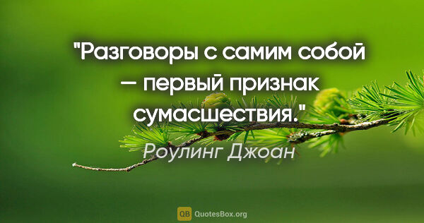 Роулинг Джоан цитата: "Разговоры с самим собой — первый признак сумасшествия."