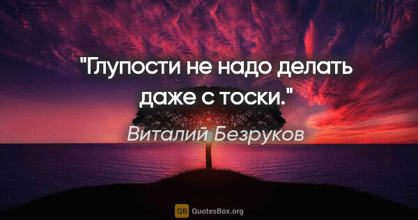 Виталий Безруков цитата: "Глупости не надо делать даже с тоски."