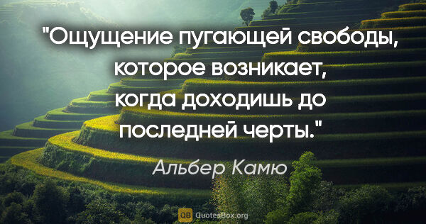 Альбер Камю цитата: "Ощущение пугающей свободы, которое возникает, когда доходишь..."