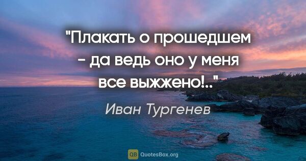 Иван Тургенев цитата: "Плакать о прошедшем - да ведь оно у меня все выжжено!.."