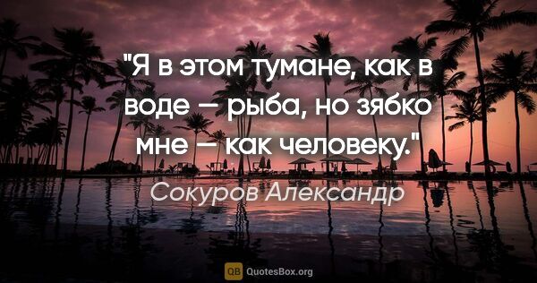 Сокуров Александр цитата: "Я в этом тумане, как в воде — рыба, но зябко мне — как человеку."