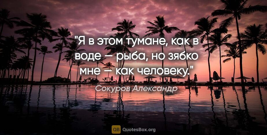 Сокуров Александр цитата: "Я в этом тумане, как в воде — рыба, но зябко мне — как человеку."