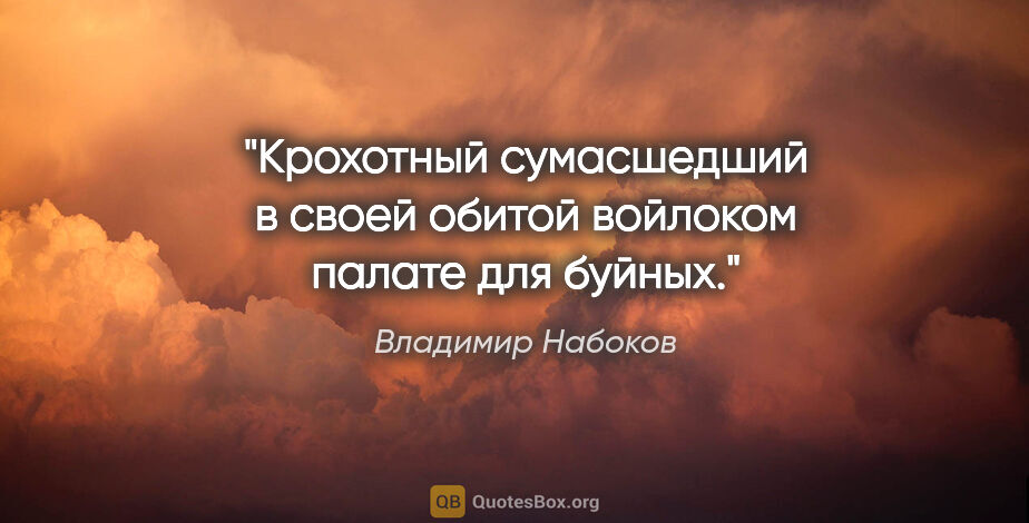 Владимир Набоков цитата: "Крохотный сумасшедший в своей обитой войлоком палате для буйных."