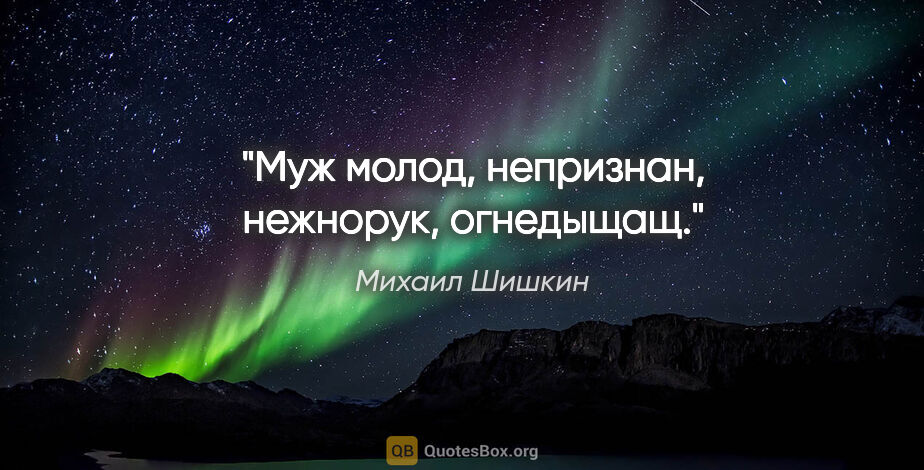 Михаил Шишкин цитата: "Муж молод, непризнан, нежнорук, огнедыщащ."