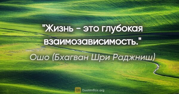 Ошо (Бхагван Шри Раджниш) цитата: "Жизнь - это глубокая взаимозависимость."