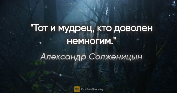 Александр Солженицын цитата: "Тот и мудрец, кто доволен немногим."