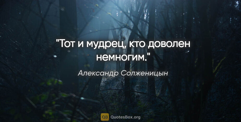 Александр Солженицын цитата: "Тот и мудрец, кто доволен немногим."