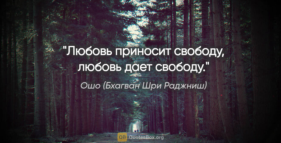 Ошо (Бхагван Шри Раджниш) цитата: "Любовь приносит свободу, любовь дает свободу."