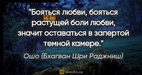 Ошо (Бхагван Шри Раджниш) цитата: "Бояться любви, бояться растущей боли любви, значит оставаться..."