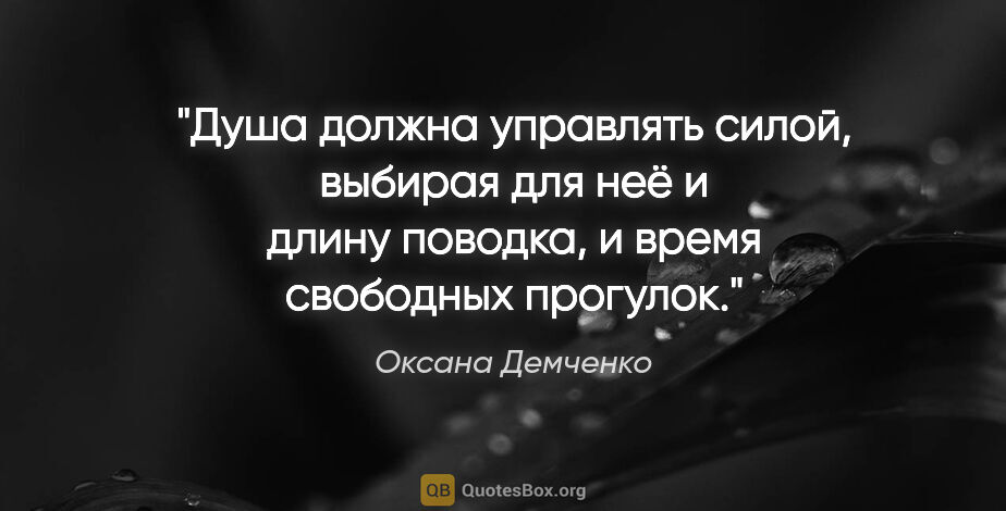 Оксана Демченко цитата: "Душа должна управлять силой, выбирая для неё и длину поводка,..."