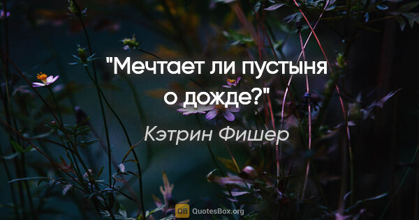 Кэтрин Фишер цитата: "Мечтает ли пустыня о дожде?"