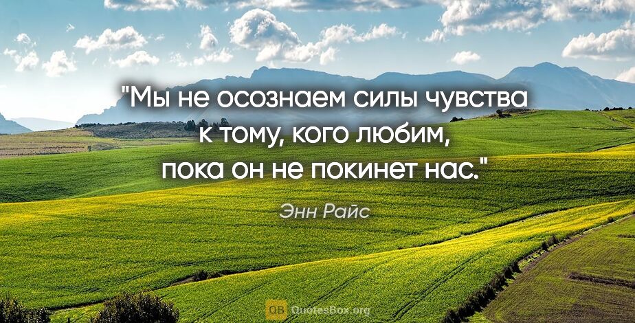 Энн Райс цитата: "Мы не осознаем силы чувства к тому, кого любим, пока он не..."