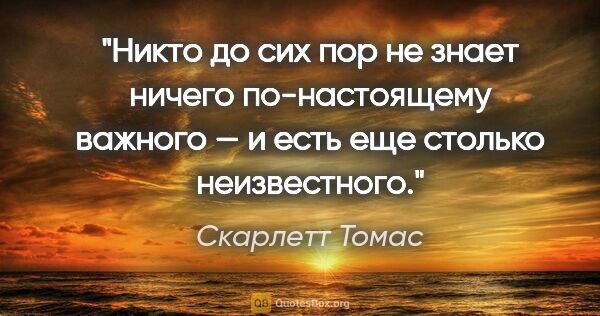 Скарлетт Томас цитата: "Никто до сих пор не знает ничего по-настоящему важного — и..."