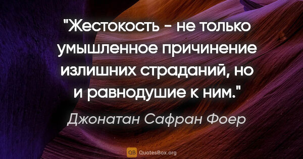 Джонатан Сафран Фоер цитата: "Жестокость - не только умышленное причинение излишних..."