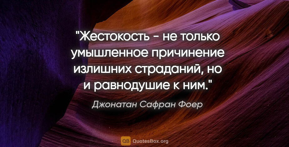 Джонатан Сафран Фоер цитата: "Жестокость - не только умышленное причинение излишних..."