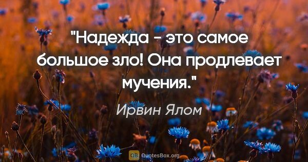 Ирвин Ялом цитата: "Надежда - это самое большое зло! Она продлевает мучения."