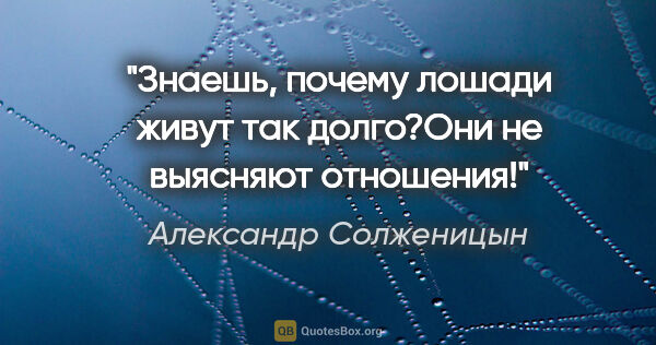 Александр Солженицын цитата: "Знаешь, почему лошади живут так долго?Они не выясняют отношения!"