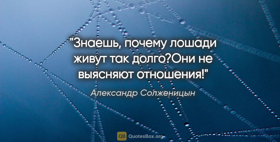 Александр Солженицын цитата: "Знаешь, почему лошади живут так долго?Они не выясняют отношения!"