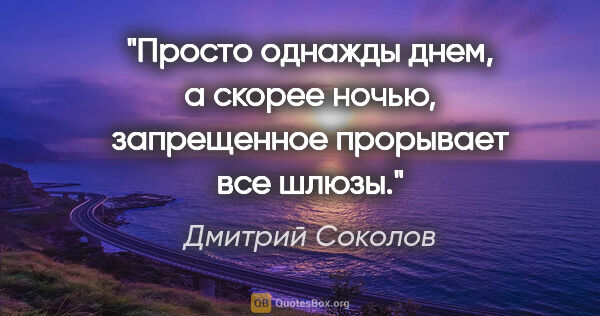 Дмитрий Соколов цитата: "Просто однажды днем, а скорее ночью, запрещенное прорывает все..."