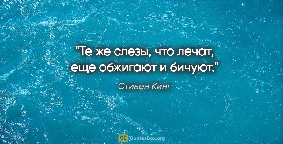 Стивен Кинг цитата: "Те же слезы, что лечат, еще обжигают и бичуют."