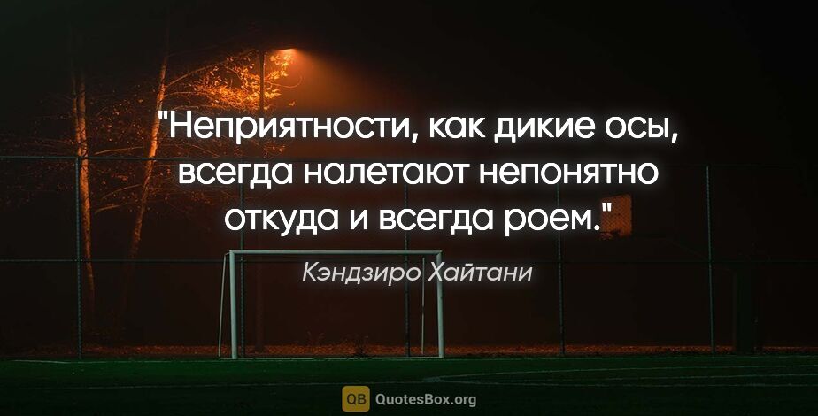 Кэндзиро Хайтани цитата: "Неприятности, как дикие осы, всегда налетают непонятно откуда..."