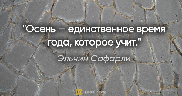 Эльчин Сафарли цитата: "Осень — единственное время года, которое учит."