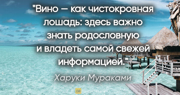 Харуки Мураками цитата: "Вино — как чистокровная лошадь: здесь важно знать родословную..."